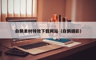新沂白鹅素材特效下载网站（白鹅摄影）